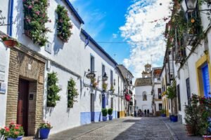 A narrow street with potted plants on the side of it