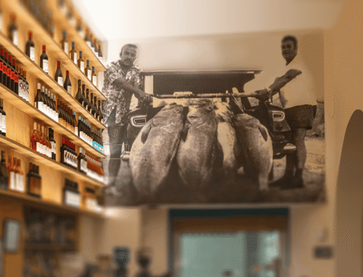 Olivar Bistro