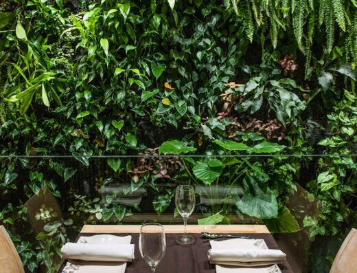 Restaurante Terraza De La O | Cocina Andaluza en Sevilla